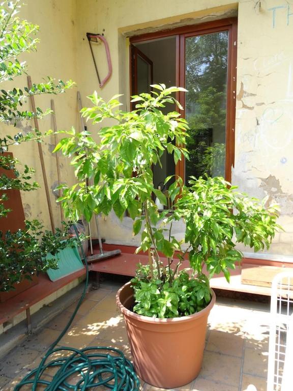 Garden Apartment On Art Nouveau Street In Central Praga Esterno foto
